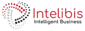 Intelibis – Intelligent Business
